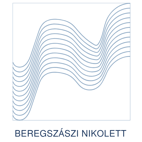 Beregszászi Nikolett favikon